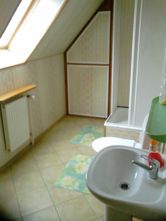 Olsik Apartment Bialowieza Exterior photo